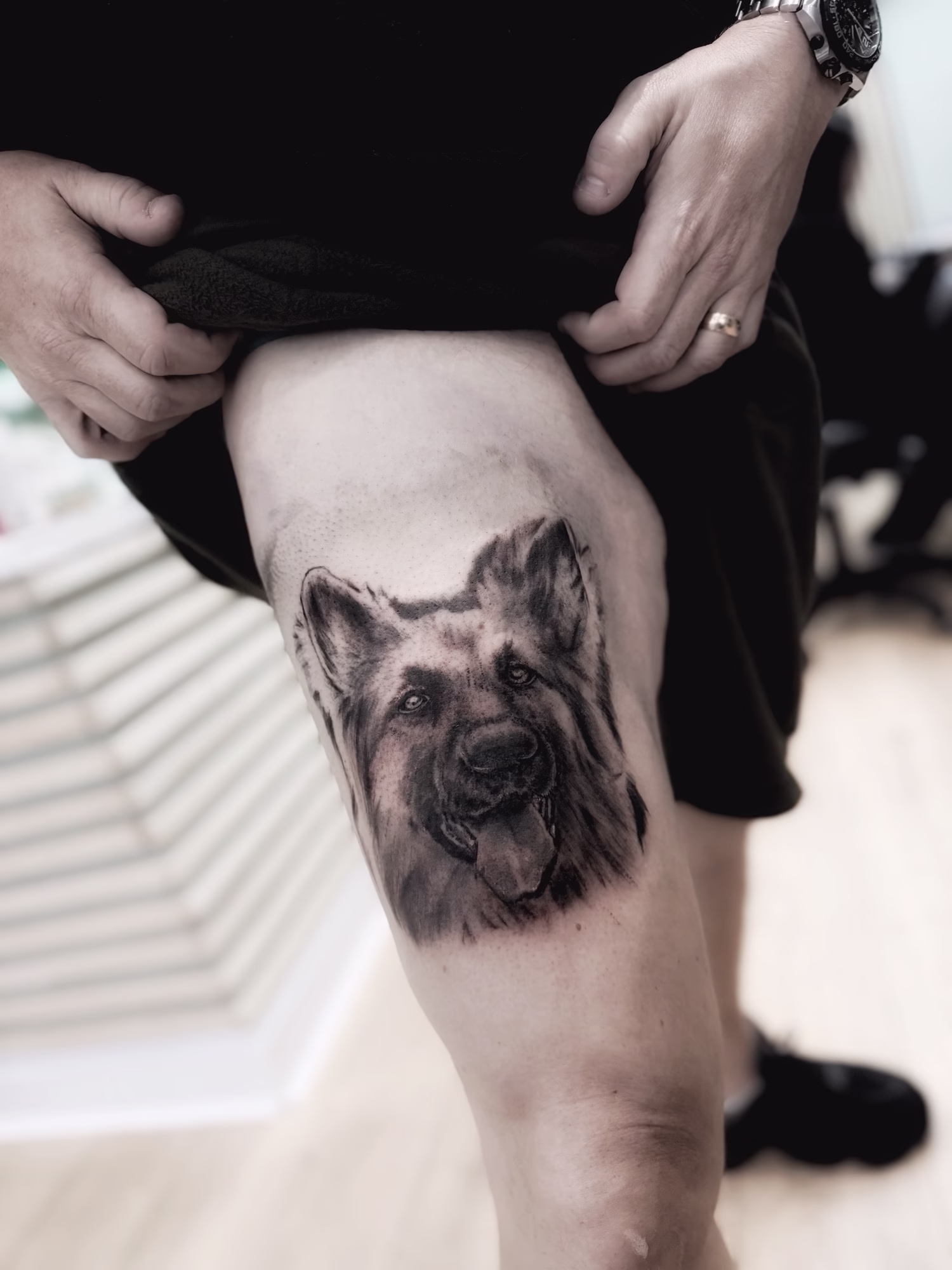 dog portrait manchester