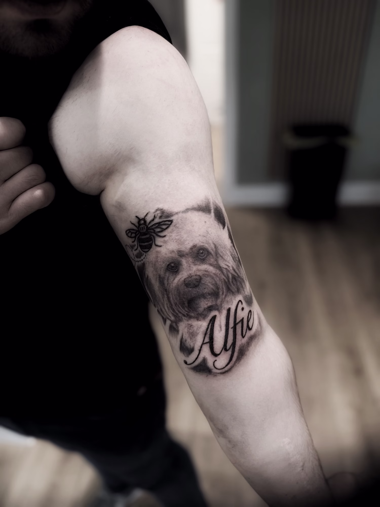 dog portait artist in salford
