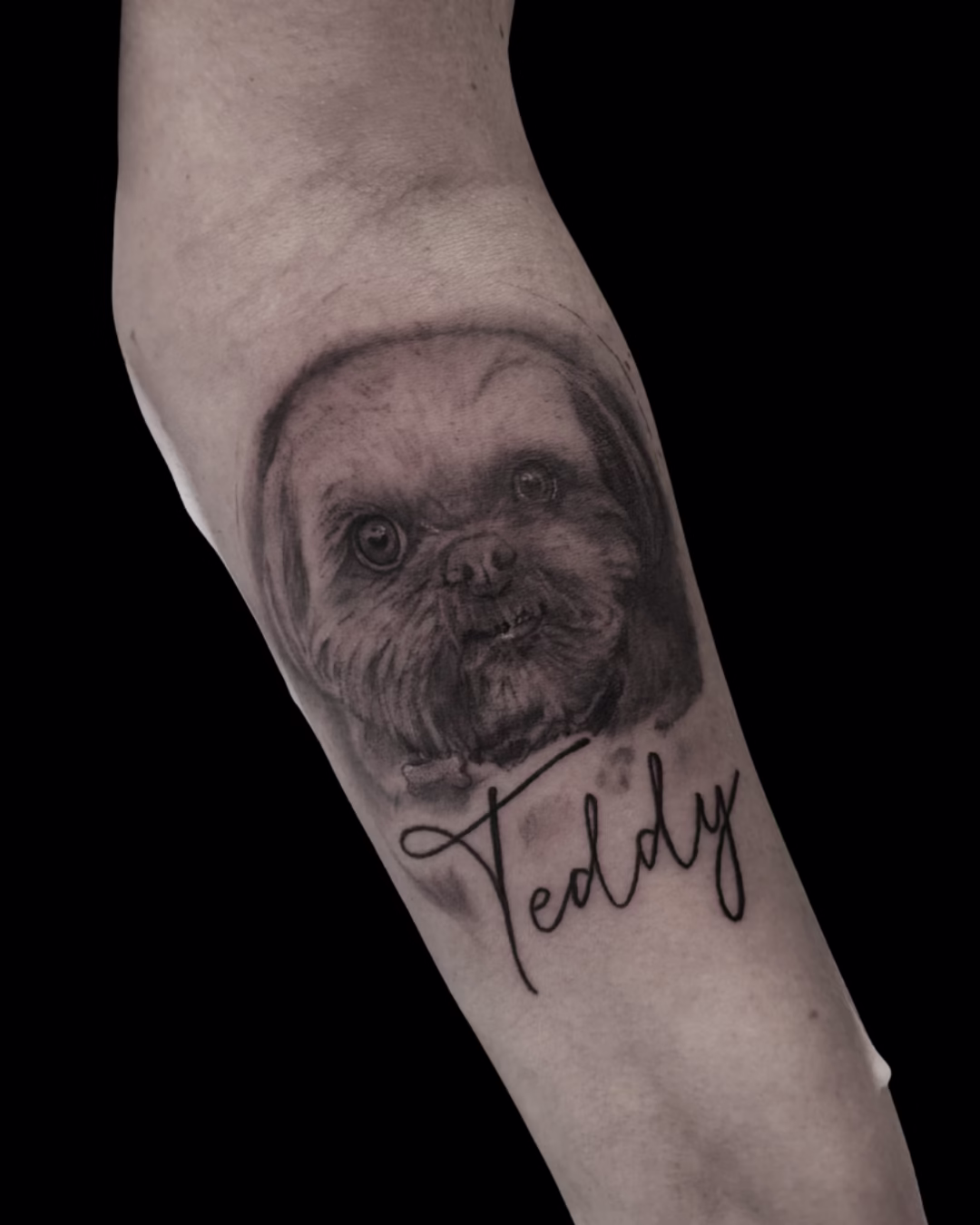 Tattoo of a dog named Teddy