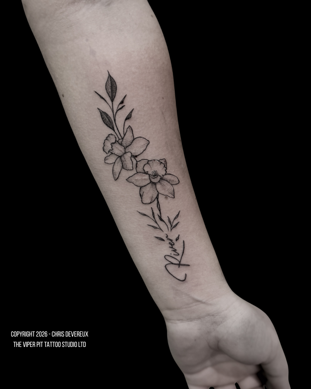 finelinetattoomonton